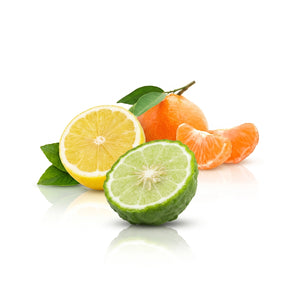 Citrus & Fresh