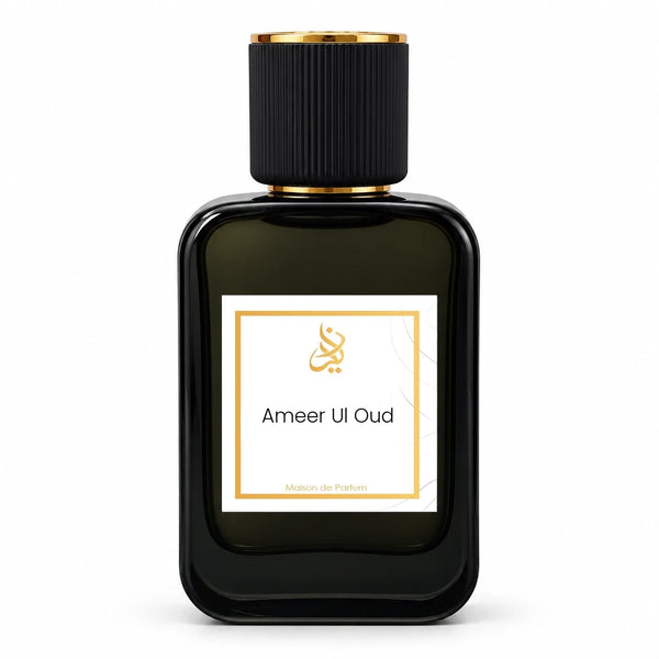 Ameer Ul Oud